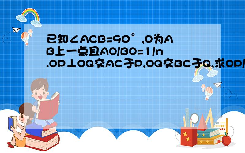 已知∠ACB=90°,O为AB上一点且AO/BO=1/n.OP⊥OQ交AC于P,OQ交BC于Q,求OP/OQ急吖、、先悬赏50分、、如果有好答案再追加30、、有答案我就追加10吖、、