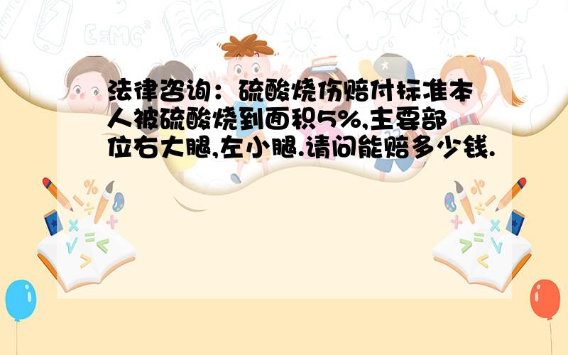 法律咨询：硫酸烧伤赔付标准本人被硫酸烧到面积5%,主要部位右大腿,左小腿.请问能赔多少钱.