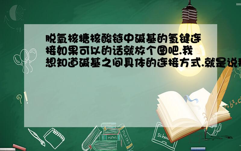 脱氧核糖核酸链中碱基的氢键连接如果可以的话就放个图吧.我想知道碱基之间具体的连接方式.就是说那两个氢键的位置以及连接的方式,还有成键过程中的一些条件.溶组织阿米巴...还有其他