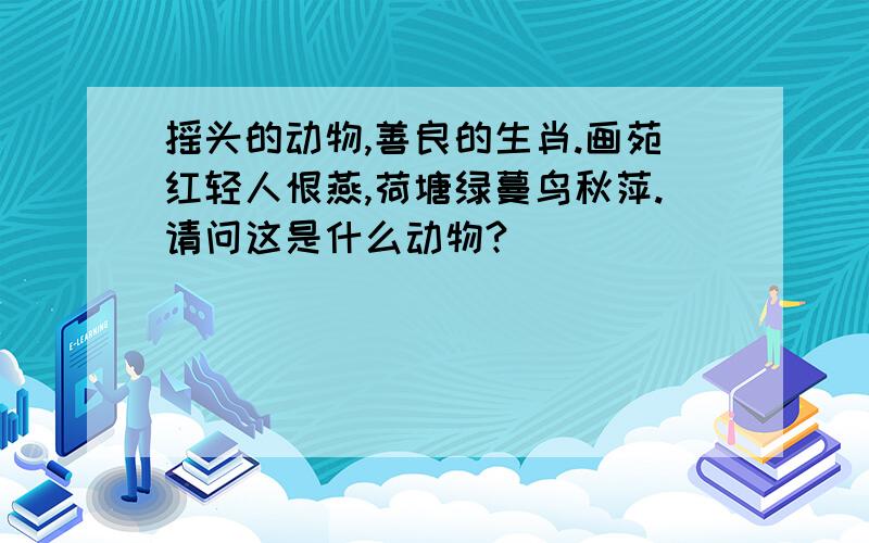 摇头的动物,善良的生肖.画苑红轻人恨燕,荷塘绿蔓鸟秋萍.请问这是什么动物?