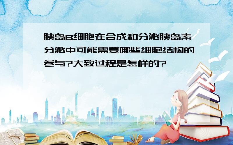 胰岛B细胞在合成和分泌胰岛素分泌中可能需要哪些细胞结构的参与?大致过程是怎样的?