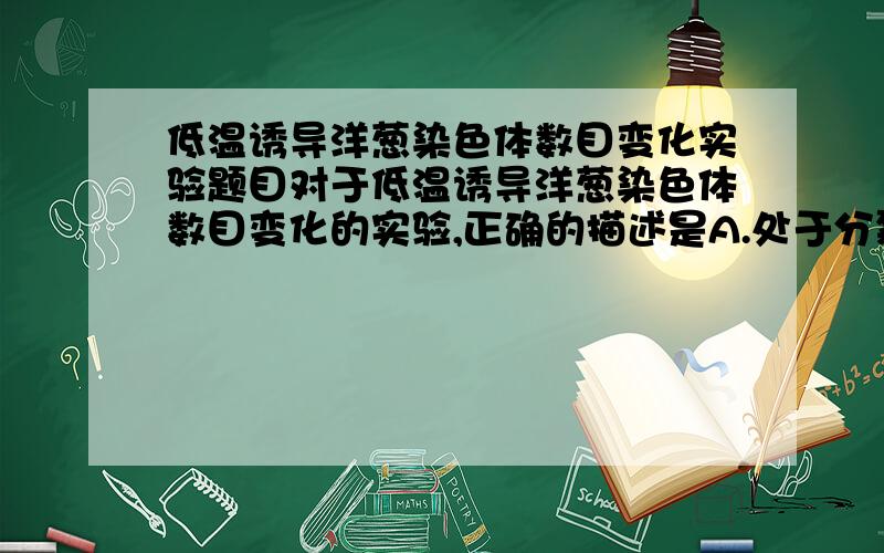 低温诱导洋葱染色体数目变化实验题目对于低温诱导洋葱染色体数目变化的实验,正确的描述是A.处于分裂间期的细胞最多B.在显微镜视野内可以观察到二倍体细胞和四倍体细胞C.在高倍显微镜