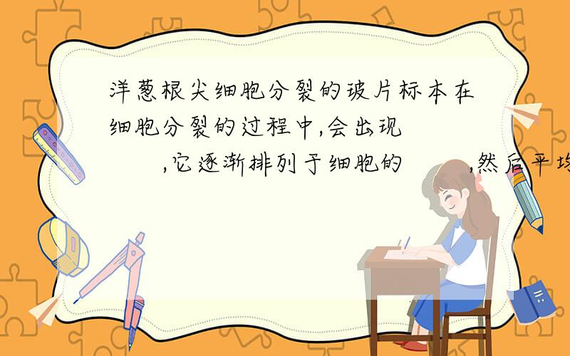 洋葱根尖细胞分裂的玻片标本在细胞分裂的过程中,会出现         ,它逐渐排列于细胞的        ,然后平均分成     等份,向细胞两端移动；细胞质一般也平均分成两等份.这样一个细胞就分裂成两