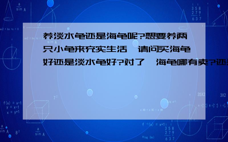 养淡水龟还是海龟呢?想要养两只小龟来充实生活,请问买海龟好还是淡水龟好?对了,海龟哪有卖?还是到海边抓两只呢?