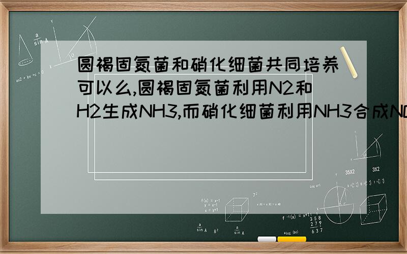 圆褐固氮菌和硝化细菌共同培养可以么,圆褐固氮菌利用N2和H2生成NH3,而硝化细菌利用NH3合成NO2-和NO3-是不是只要加入H2,O2,以及N2,和及时换水就能保证这两种细菌生存?可是我及时换培养液啦?这