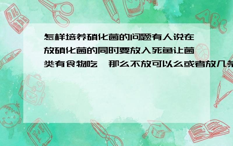 怎样培养硝化菌的问题有人说在放硝化菌的同时要放入死鱼让菌类有食物吃,那么不放可以么或者放几条活得鹦鹉可以吗?