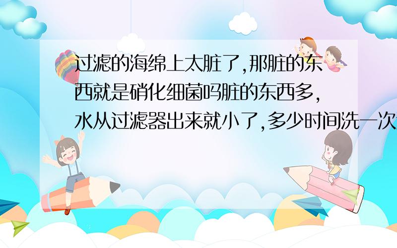 过滤的海绵上太脏了,那脏的东西就是硝化细菌吗脏的东西多,水从过滤器出来就小了,多少时间洗一次过滤海绵呢