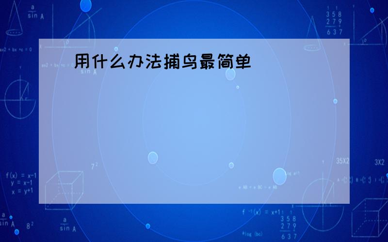 用什么办法捕鸟最简单