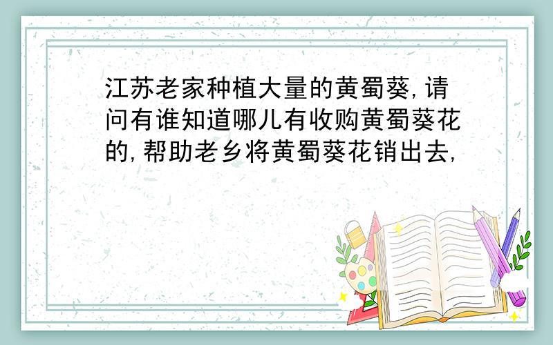 江苏老家种植大量的黄蜀葵,请问有谁知道哪儿有收购黄蜀葵花的,帮助老乡将黄蜀葵花销出去,