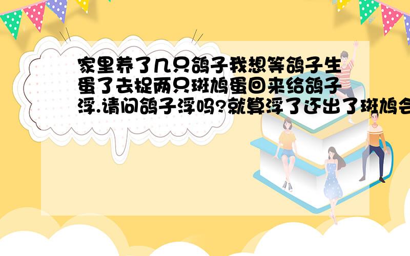 家里养了几只鸽子我想等鸽子生蛋了去捉两只斑鸠蛋回来给鸽子浮.请问鸽子浮吗?就算浮了还出了斑鸠会飞走