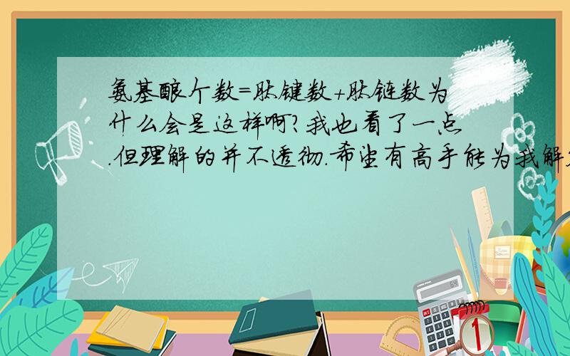 氨基酸个数=肽键数＋肽链数为什么会是这样啊?我也看了一点.但理解的并不透彻.希望有高手能为我解答一下哈······