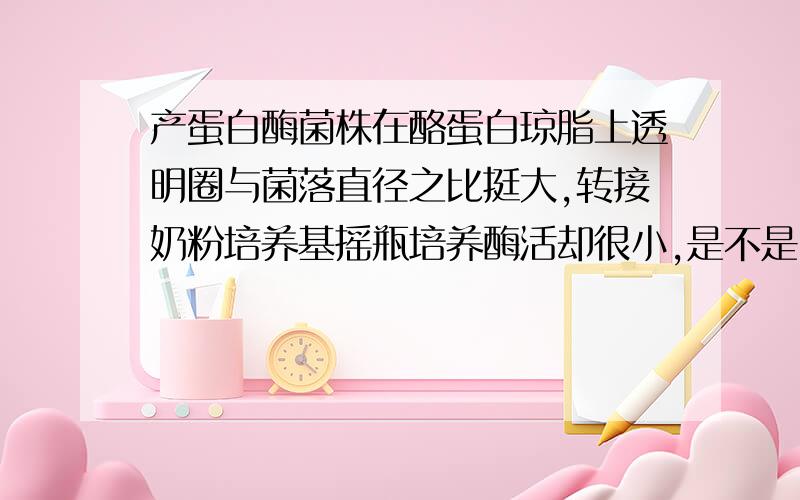 产蛋白酶菌株在酪蛋白琼脂上透明圈与菌落直径之比挺大,转接奶粉培养基摇瓶培养酶活却很小,是不是因为培养基成分变了引起的还是要考虑接种量、温度、pH、培养时间、转速等因素,底物