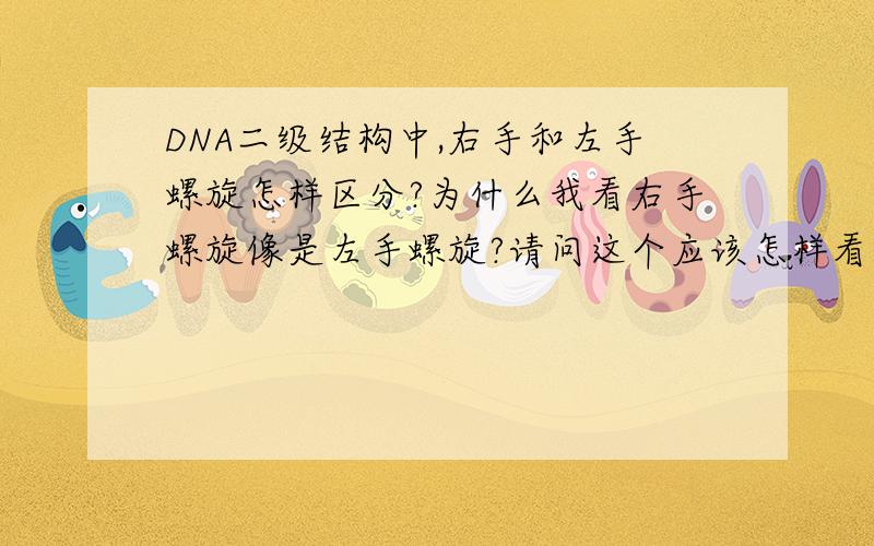 DNA二级结构中,右手和左手螺旋怎样区分?为什么我看右手螺旋像是左手螺旋?请问这个应该怎样看，分判断螺旋方向时分内外吗？