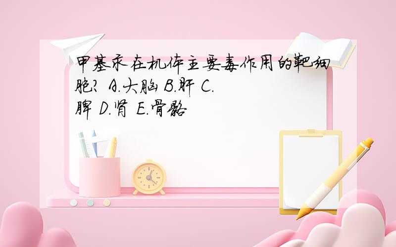 甲基汞在机体主要毒作用的靶细胞? A.大脑 B.肝 C.脾 D.肾 E.骨骼