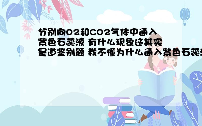 分别向O2和CO2气体中通入紫色石蕊液 有什么现象这其实是道鉴别题 我不懂为什么通入紫色石蕊液可以区别出O2和CO2来