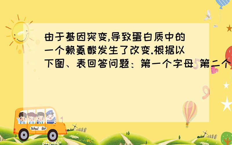 由于基因突变,导致蛋白质中的一个赖氨酸发生了改变.根据以下图、表回答问题：第一个字母 第二个字母 第三个字母U C A G A 异亮氨酸 苏氨酸 天冬酸胺 丝氨酸 U异亮氨酸 苏氨酸 天冬酸胺 丝