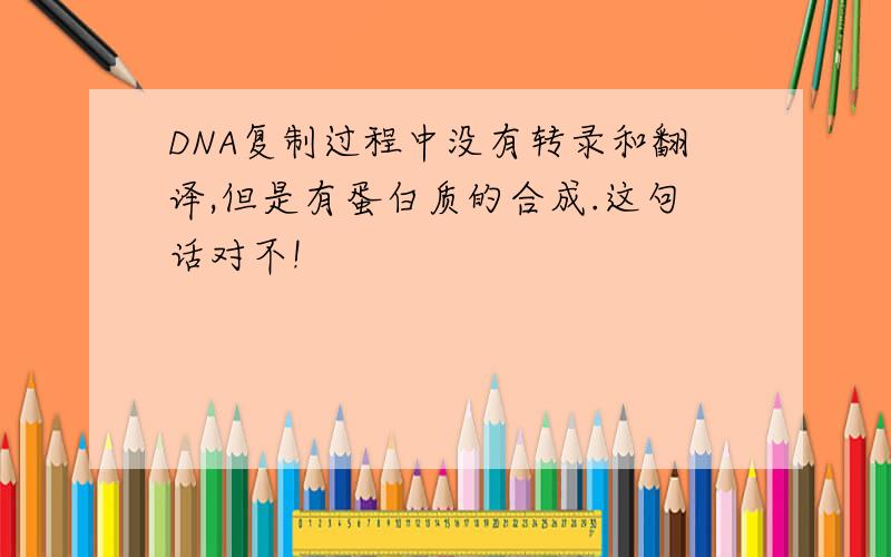 DNA复制过程中没有转录和翻译,但是有蛋白质的合成.这句话对不!