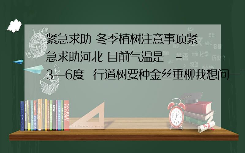 紧急求助 冬季植树注意事项紧急求助河北 目前气温是  -3—6度  行道树要种金丝垂柳我想问一下各位高人 这个状况 可不可以种  裸根定杆  挖树要2-3天 然后运到我这来 成活率能有多少?直径1