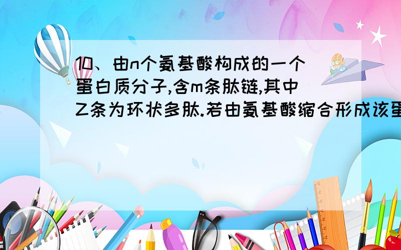 10、由n个氨基酸构成的一个蛋白质分子,含m条肽链,其中Z条为环状多肽.若由氨基酸缩合形成该蛋白质时所产生的水全部被绿色植物用于光合作用的光反应,可以产生多少分子的氧气