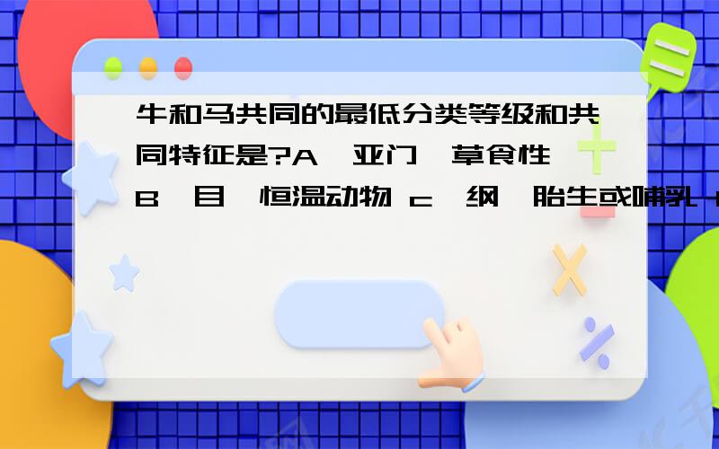 牛和马共同的最低分类等级和共同特征是?A,亚门,草食性 B,目,恒温动物 c,纲,胎生或哺乳 D,科,体表被毛