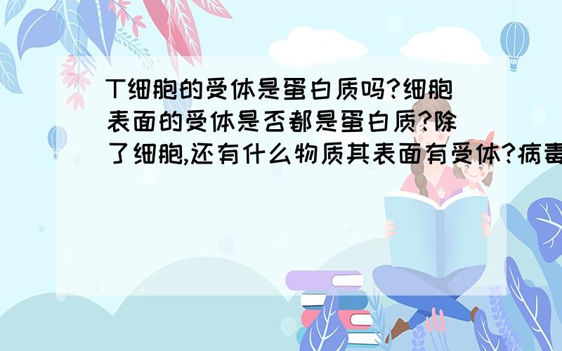 T细胞的受体是蛋白质吗?细胞表面的受体是否都是蛋白质?除了细胞,还有什么物质其表面有受体?病毒有吗