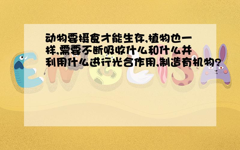 动物要摄食才能生存,植物也一样,需要不断吸收什么和什么并利用什么进行光合作用,制造有机物?