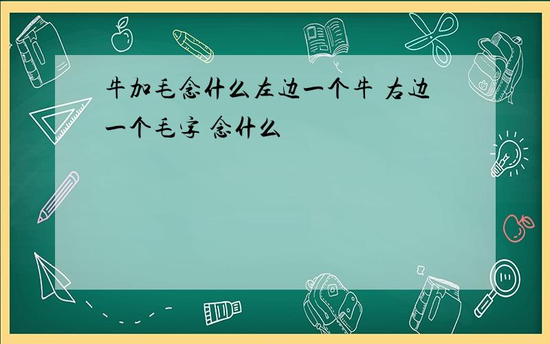 牛加毛念什么左边一个牛 右边一个毛字 念什么