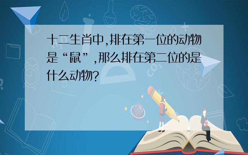 十二生肖中,排在第一位的动物是“鼠”,那么排在第二位的是什么动物?