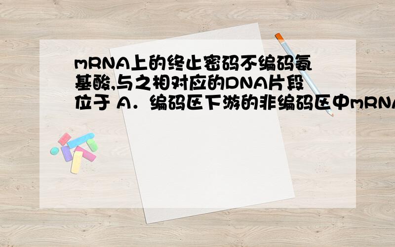 mRNA上的终止密码不编码氨基酸,与之相对应的DNA片段位于 A．编码区下游的非编码区中mRNA上的终止密码不编码氨基酸,与之相对应的DNA片段位于A．编码区下游的非编码区中 B．基因的最末端C．