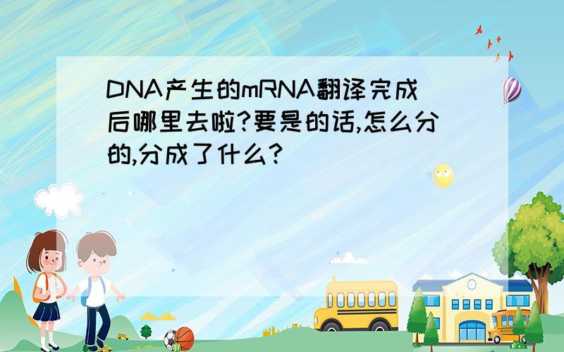 DNA产生的mRNA翻译完成后哪里去啦?要是的话,怎么分的,分成了什么?