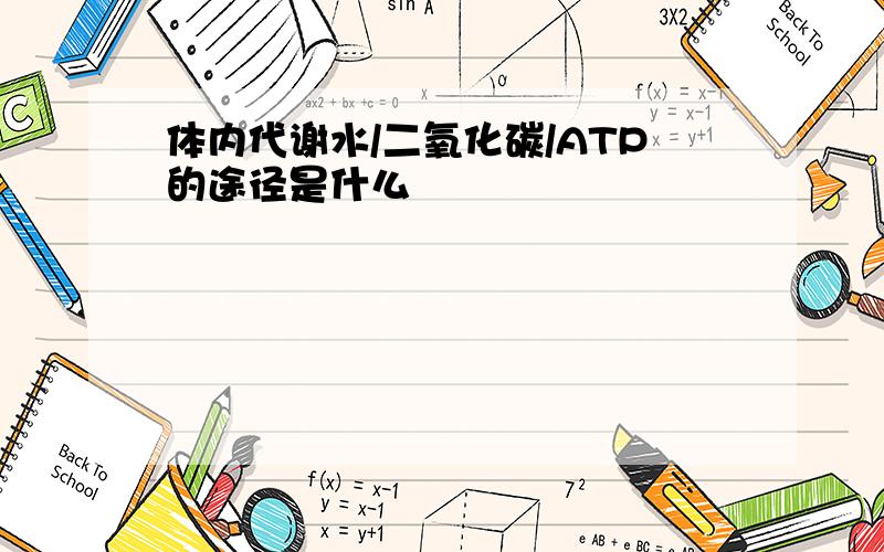 体内代谢水/二氧化碳/ATP的途径是什么