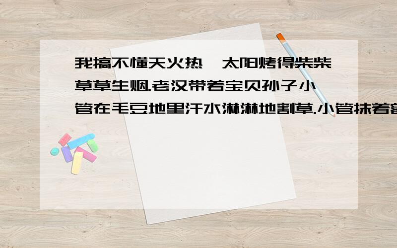 我搞不懂天火热,太阳烤得柴柴草草生烟.老汉带着宝贝孙子小管在毛豆地里汗水淋淋地割草.小管抹着额上的汗说：