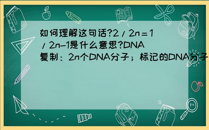 如何理解这句话?2/2n＝1/2n-1是什么意思?DNA复制：2n个DNA分子；标记的DNA分子每一代都只有2个；标记的DNA分子占：2/2n＝1/2n-1