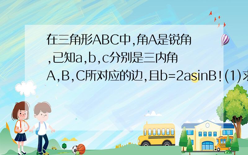 在三角形ABC中,角A是锐角,已知a,b,c分别是三内角A,B,C所对应的边,且b=2asinB!(1)求角A的大小!(2)若b=1,且三角形ABC的面积是3√3/4,求a的值!