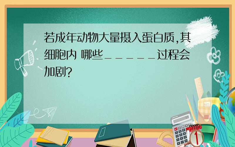 若成年动物大量摄入蛋白质,其细胞内 哪些_____过程会加剧?