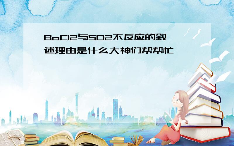 BaCl2与SO2不反应的叙述理由是什么大神们帮帮忙