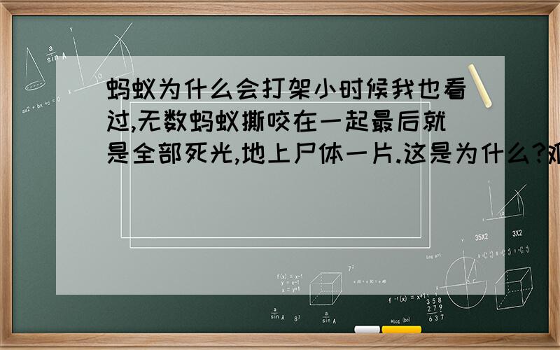 蚂蚁为什么会打架小时候我也看过,无数蚂蚁撕咬在一起最后就是全部死光,地上尸体一片.这是为什么?难道是突然信息错乱,盼真解80分