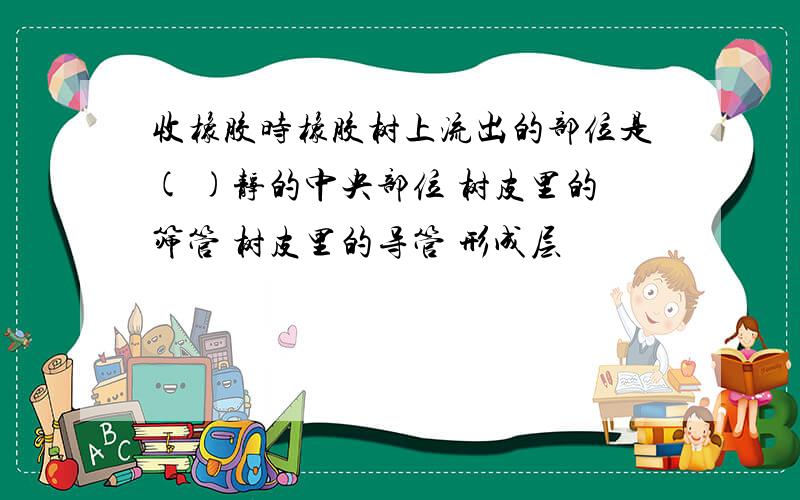 收橡胶时橡胶树上流出的部位是( )静的中央部位 树皮里的筛管 树皮里的导管 形成层