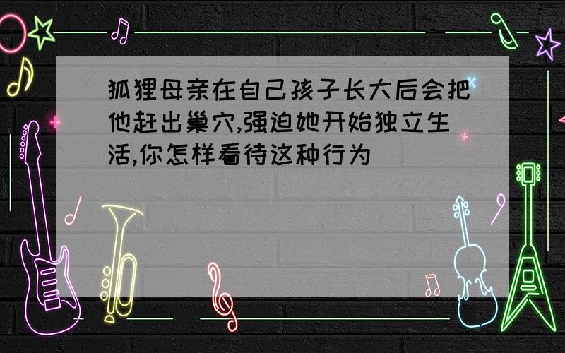 狐狸母亲在自己孩子长大后会把他赶出巢穴,强迫她开始独立生活,你怎样看待这种行为