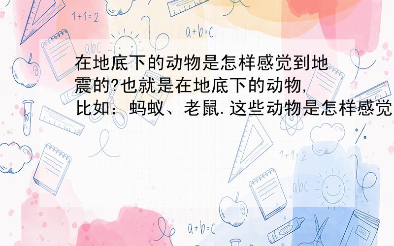 在地底下的动物是怎样感觉到地震的?也就是在地底下的动物,比如：蚂蚁、老鼠.这些动物是怎样感觉到地壳运动,从而产生地震的呢?请