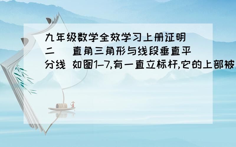 九年级数学全效学习上册证明（二） 直角三角形与线段垂直平分线 如图1-7,有一直立标杆,它的上部被风从B处吹折,标杆顶C着地,离标杆脚2cm,修好后又被风吹折,因折断处D比前一次低0.5M,故杆顶