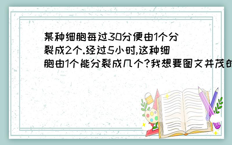 某种细胞每过30分便由1个分裂成2个.经过5小时,这种细胞由1个能分裂成几个?我想要图文并茂的答案