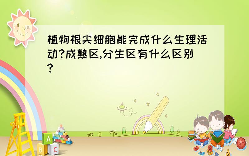 植物根尖细胞能完成什么生理活动?成熟区,分生区有什么区别?