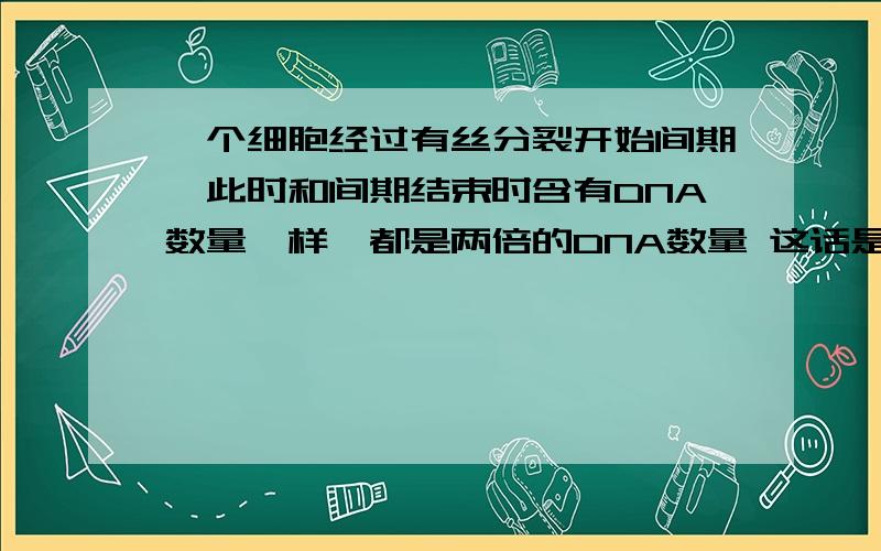 一个细胞经过有丝分裂开始间期,此时和间期结束时含有DNA数量一样,都是两倍的DNA数量 这话是对是错?原题是英文版的：After a cell undergose mitosis and begins interphase,it contains twice as much genetic materi