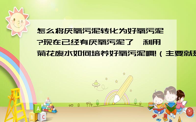 怎么将厌氧污泥转化为好氧污泥?现在已经有厌氧污泥了,利用菊花废水如何培养好氧污泥啊!（主要就是去除废液中的COD,菊花废液中COD达到几千甚至上万）现在任务就是培养好氧污泥.