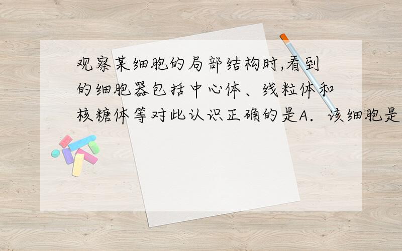 观察某细胞的局部结构时,看到的细胞器包括中心体、线粒体和核糖体等对此认识正确的是A．该细胞是在高倍光学显微镜下观察的B．此细胞不可能是原核细胞和植物细胞C．线粒体不能将葡萄