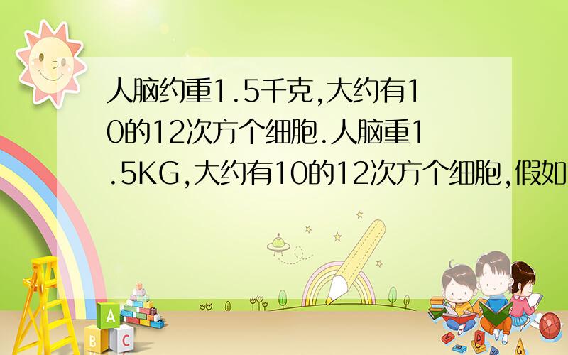 人脑约重1.5千克,大约有10的12次方个细胞.人脑重1.5KG,大约有10的12次方个细胞,假如每个细胞完全充满水,计算一个脑细胞的平均大小,如果脑细胞是简单的立方体,那么这个平均大小的脑细胞每