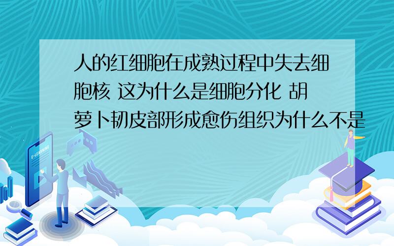 人的红细胞在成熟过程中失去细胞核 这为什么是细胞分化 胡萝卜韧皮部形成愈伤组织为什么不是