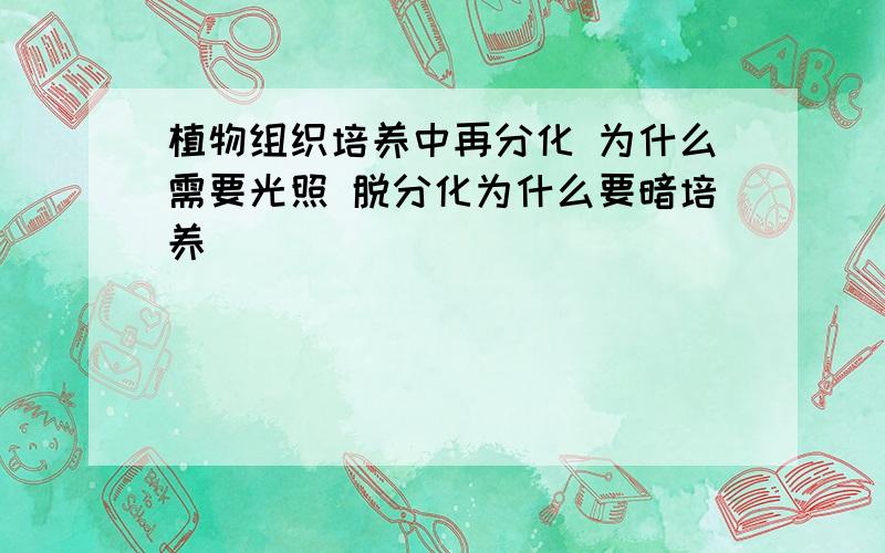 植物组织培养中再分化 为什么需要光照 脱分化为什么要暗培养