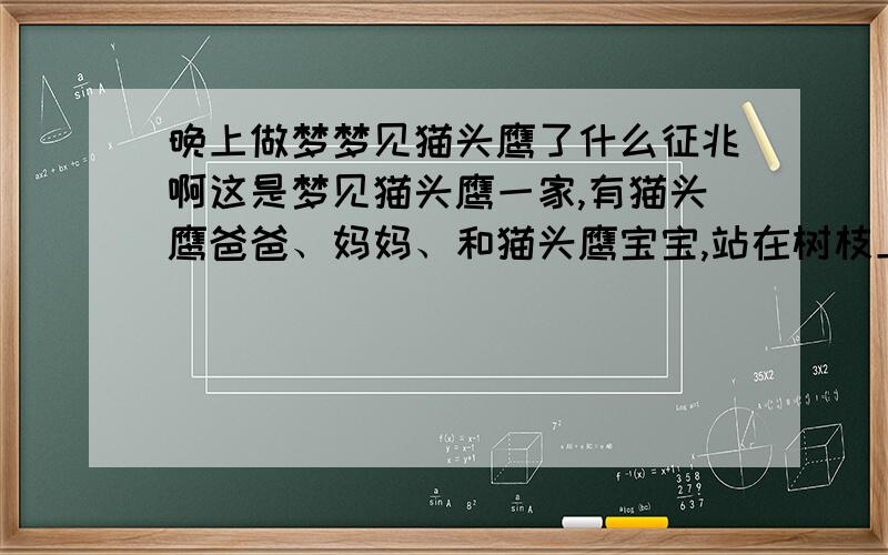 晚上做梦梦见猫头鹰了什么征兆啊这是梦见猫头鹰一家,有猫头鹰爸爸、妈妈、和猫头鹰宝宝,站在树枝上,邻居的大妈拿着照相机想把三只猫头鹰拍下来,可是不会用数码相机 所以让我来拍,我